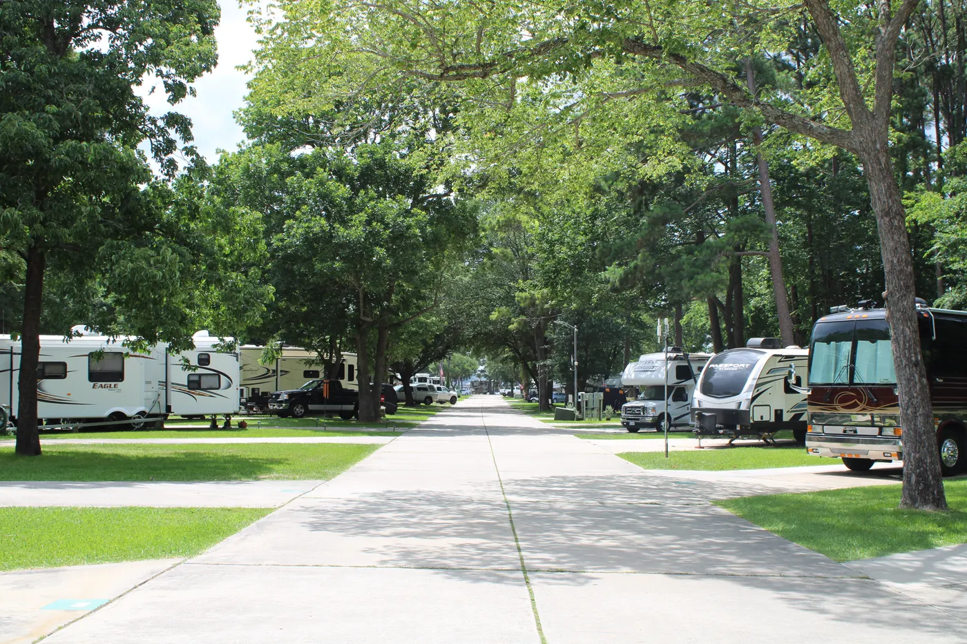 Shaded, tree-lined streets through the Sunset Shores RV community